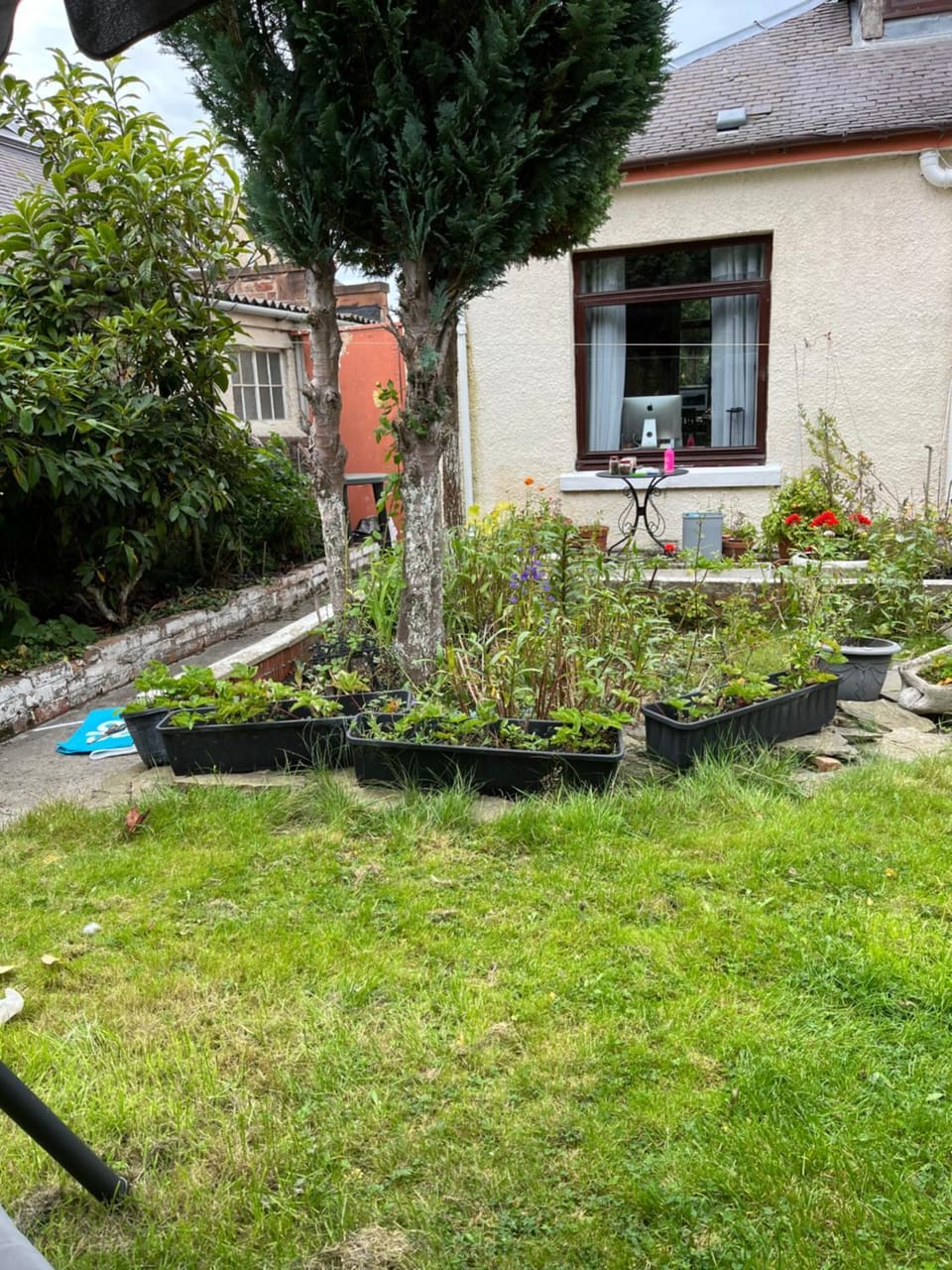 Relaxing, cozy 1 double room Vacation rental in Edinburgh