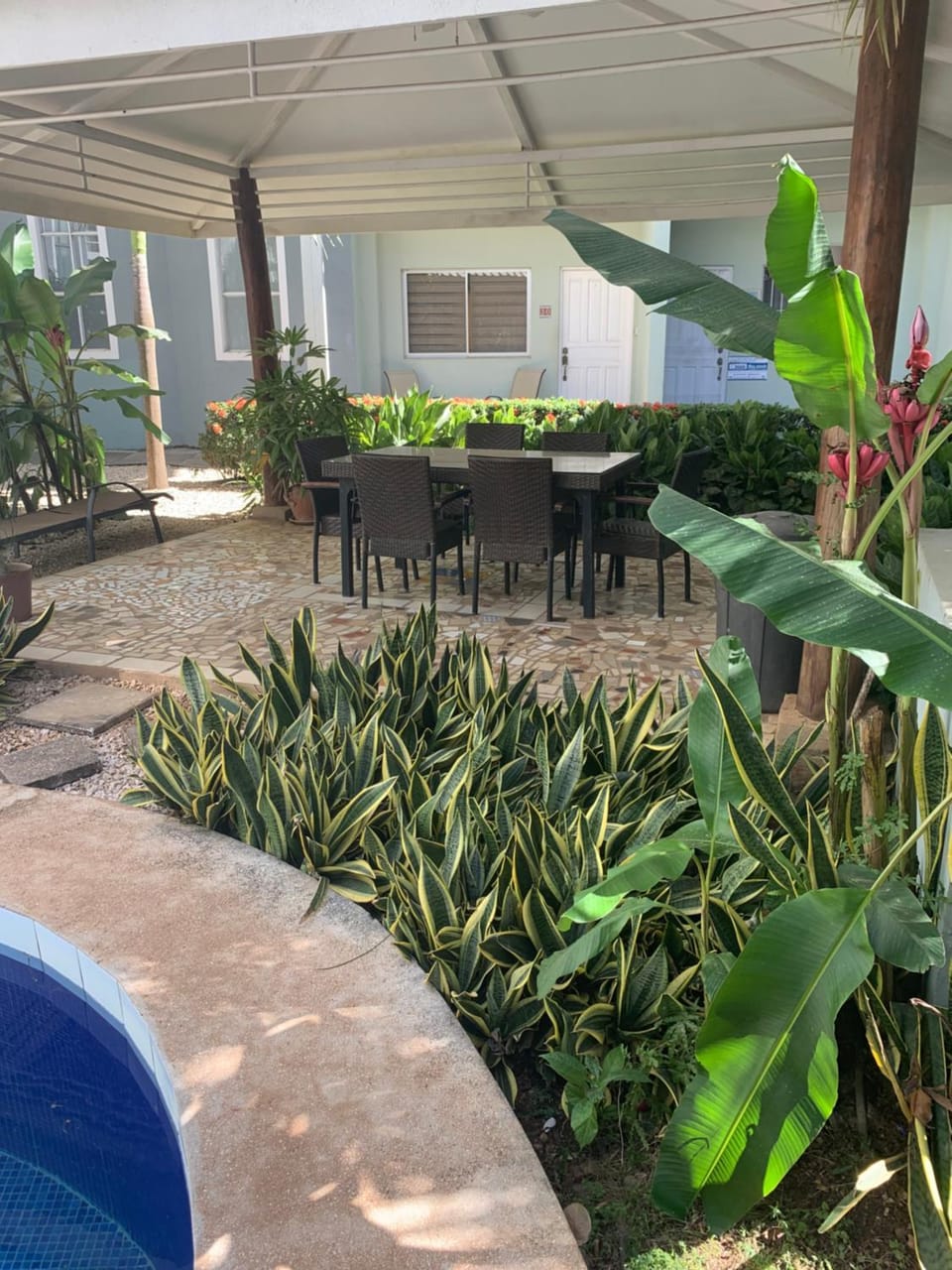 Day, Garden, Garden view