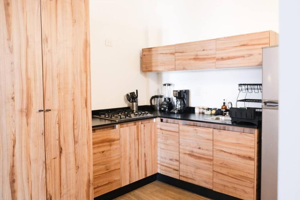 Quiet and Central Setting 2BR 1BA Office Apartment in Mazatlan