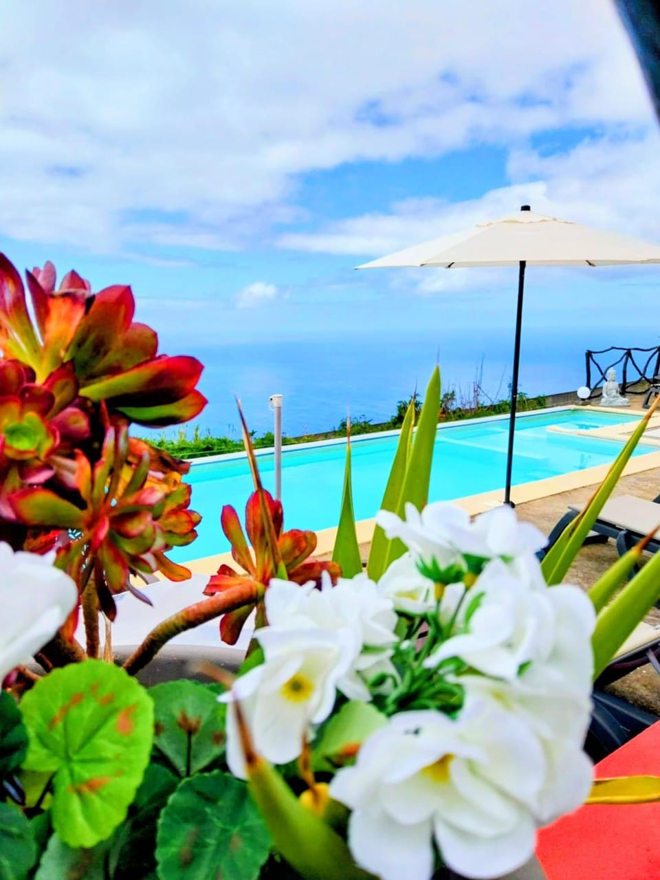 Madeira Native Motion Guest House Bed and Breakfast in Madeira District