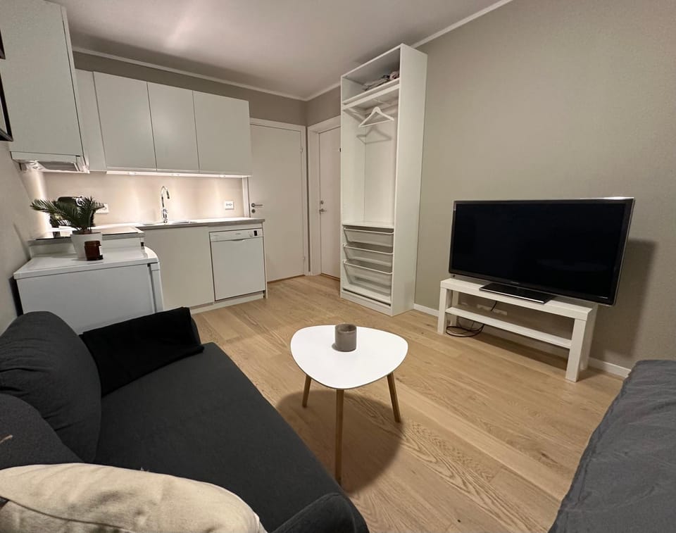 Arctic Aurora Studio I NEW IN 2023 Apartment in Tromso