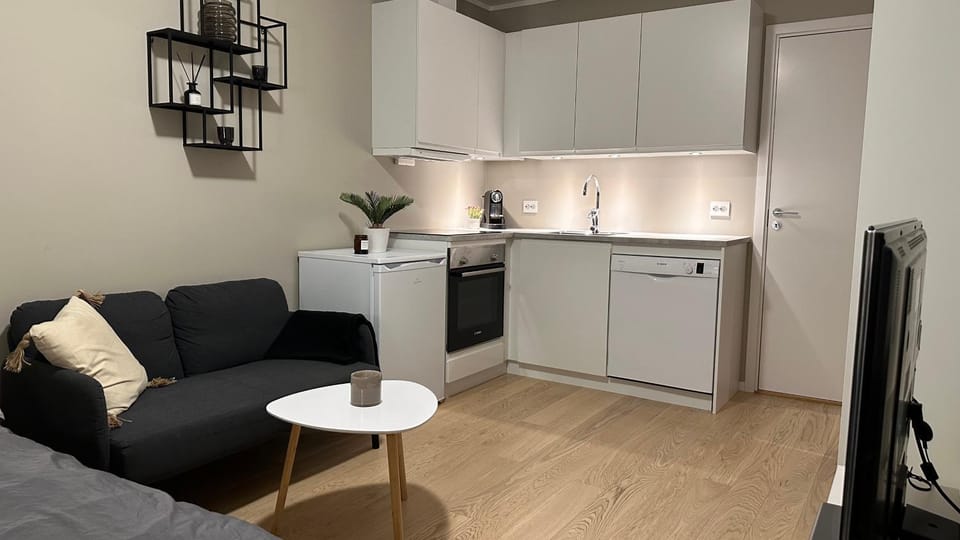Arctic Aurora Studio I NEW IN 2023 Apartment in Tromso
