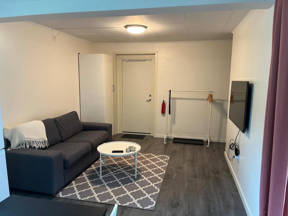 Bed, TV and multimedia, Living room, Seating area