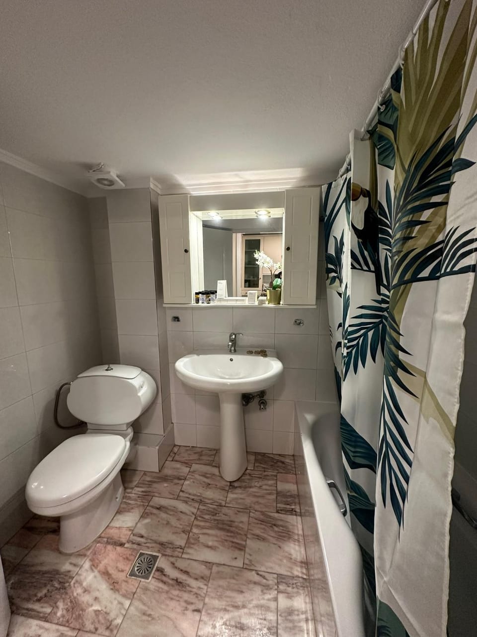 Toilet, Bathroom, bidet