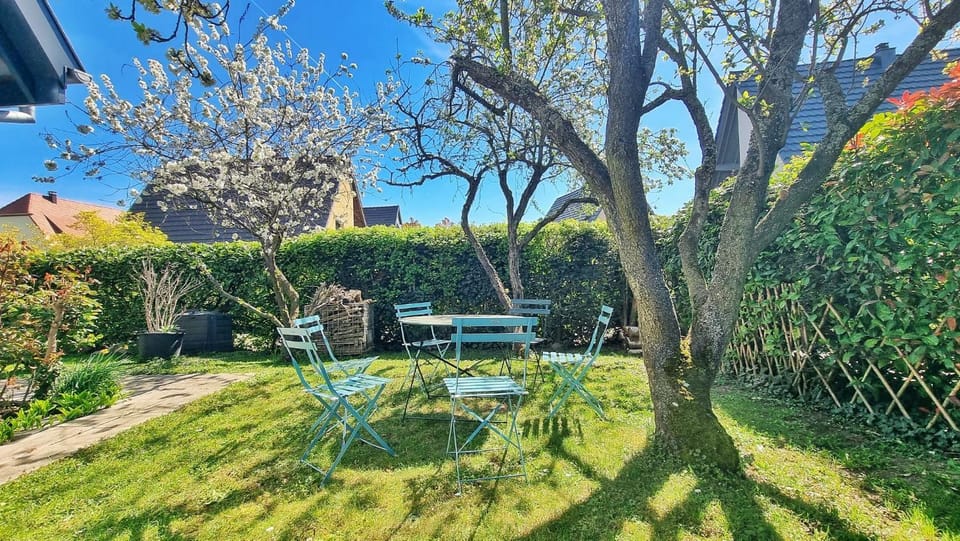 Garden, Dining area, Garden view
