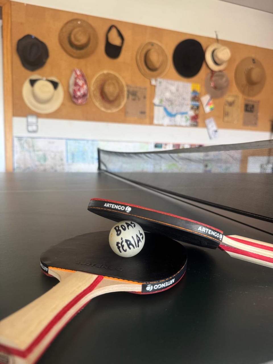 Table tennis, Entertainment