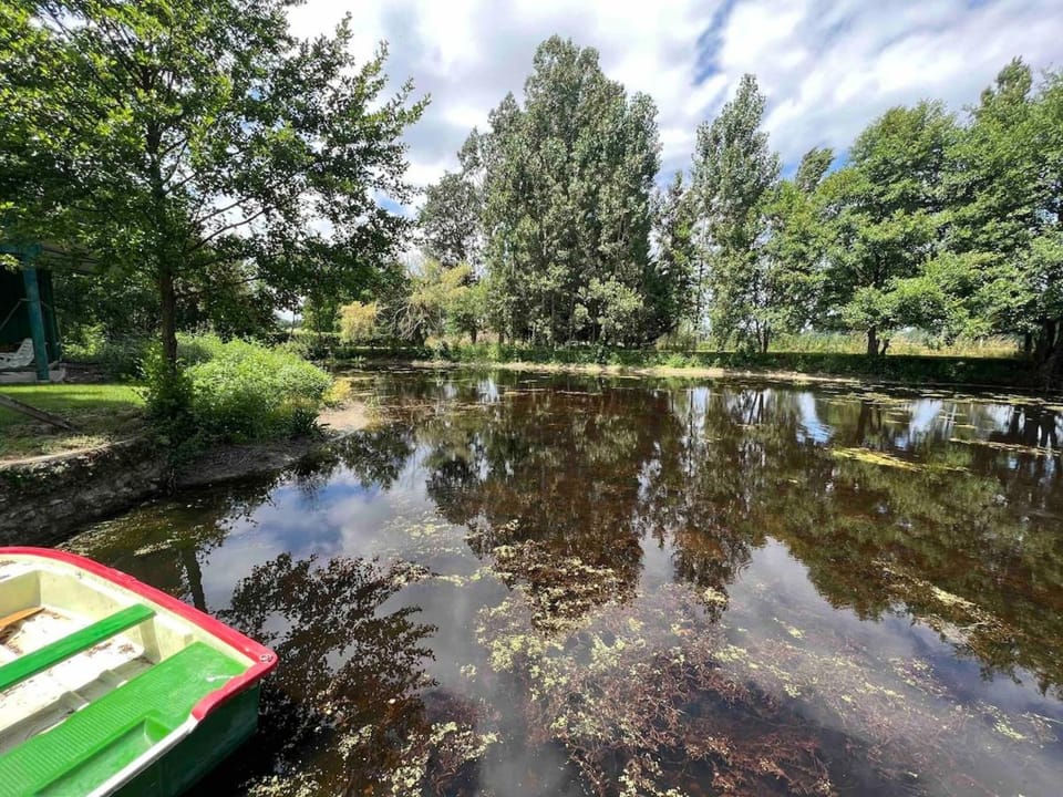 Le Poirier au Roi, Villa avec Piscine, Jacuzzi, Parc, Etang et calme House in Centre-Val de Loire