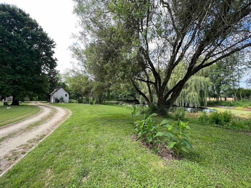 Le Poirier au Roi, Villa avec Piscine, Jacuzzi, Parc, Etang et calme House in Centre-Val de Loire