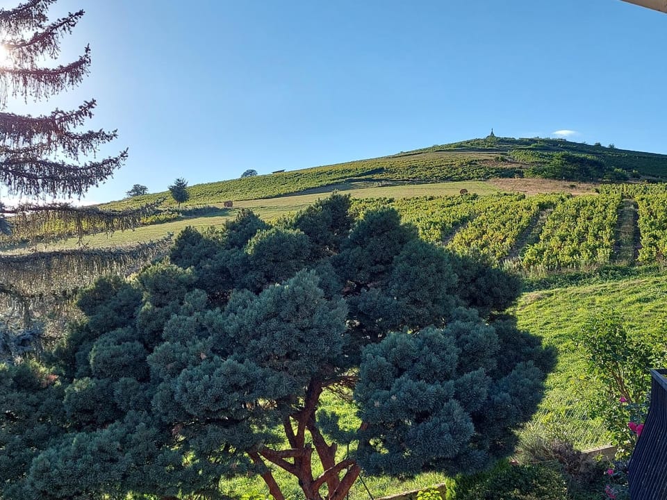 Day, Natural landscape, Mountain view