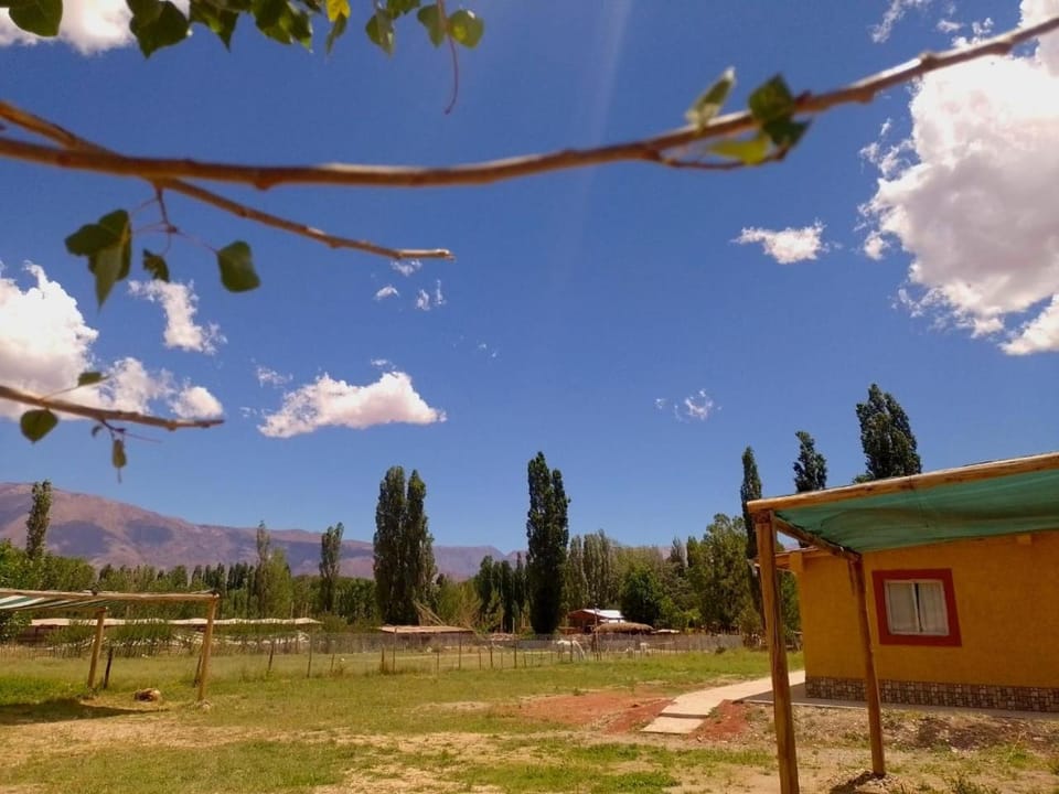 Natural landscape