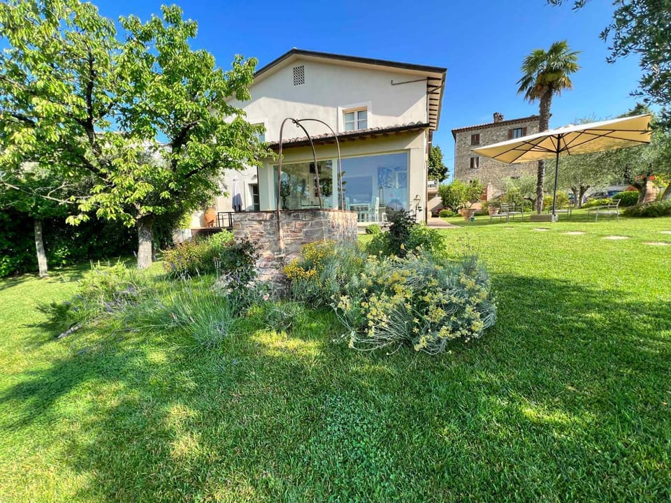 Property building, Summer, Garden