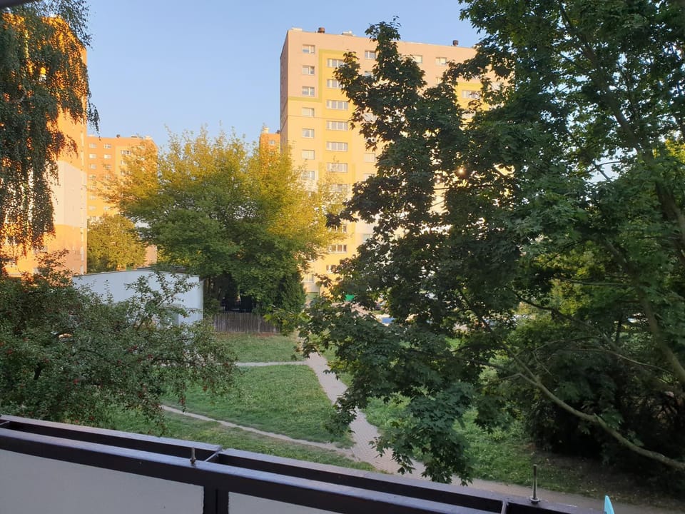 Balcony/Terrace, Garden view