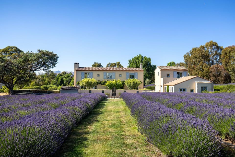 Property building, Garden, Garden, Garden view