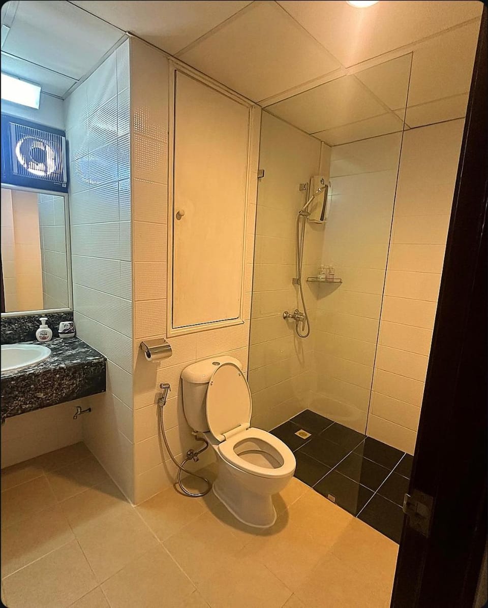 Shower, Toilet, Bathroom, bidet