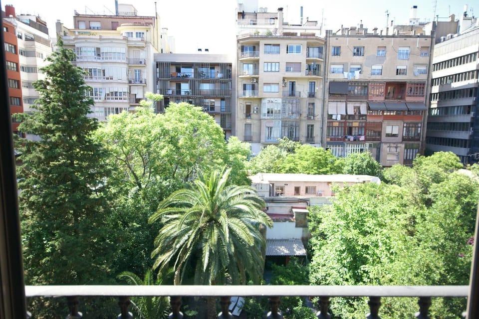Garden view