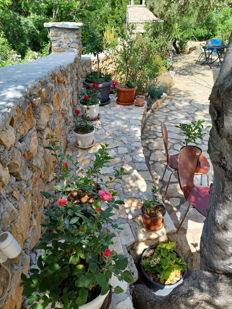 Location, children, Family