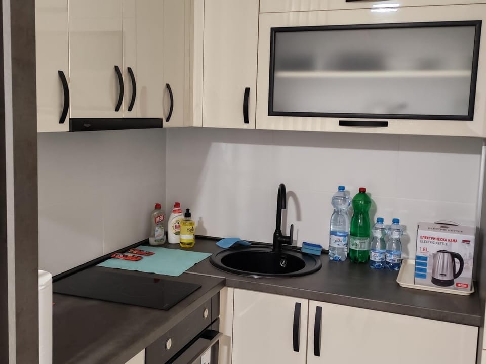 Coffee/tea facilities, Kitchen or kitchenette, minibar, stove