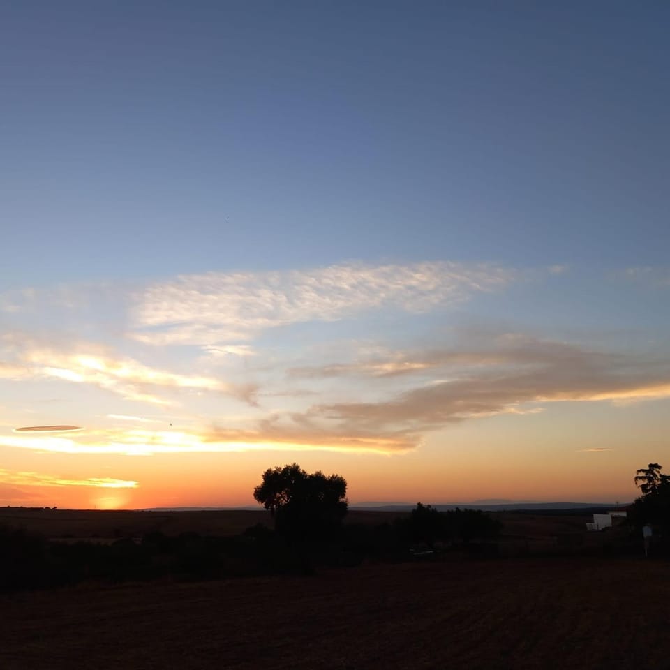 Natural landscape, Sunset