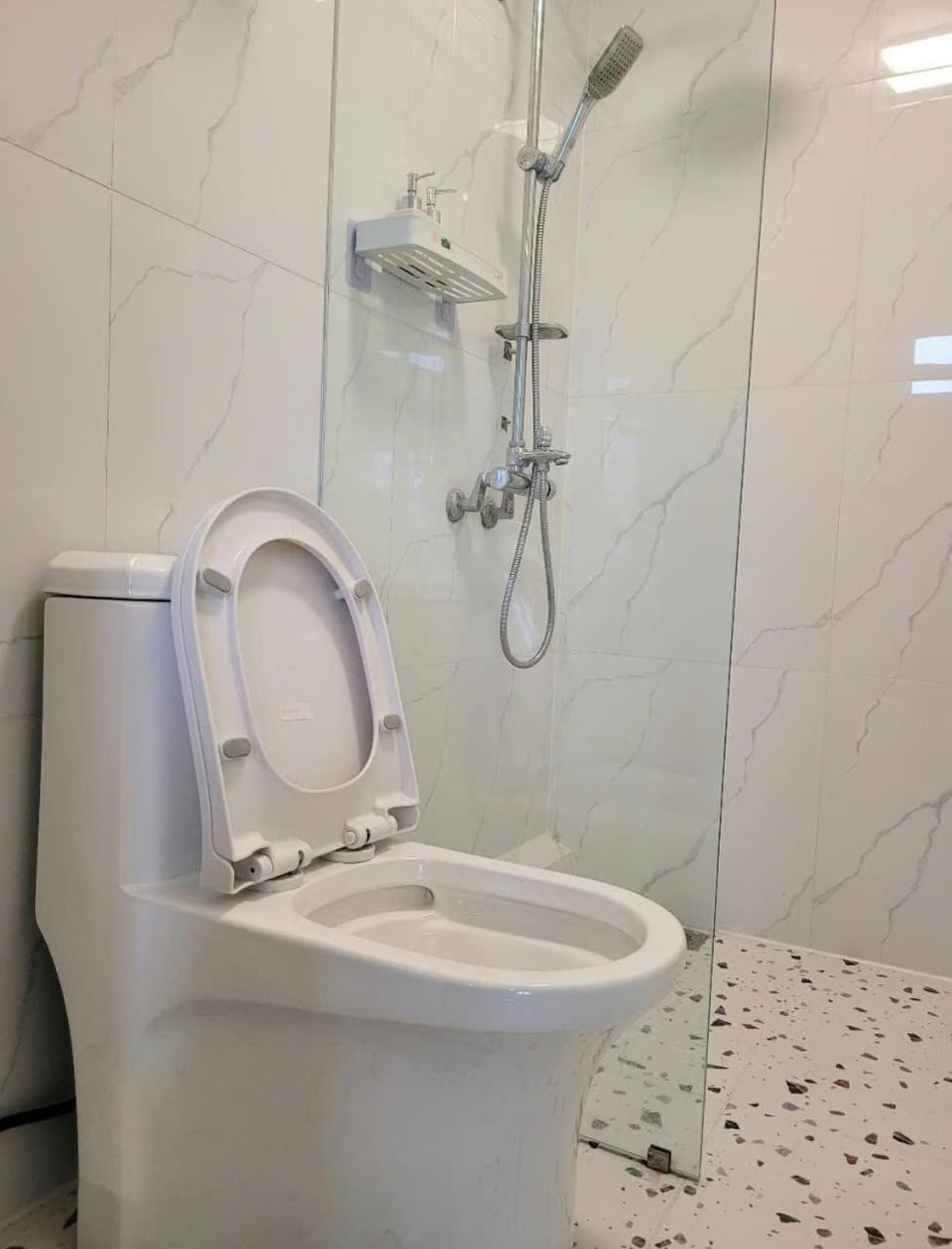 Shower, Toilet, Bathroom