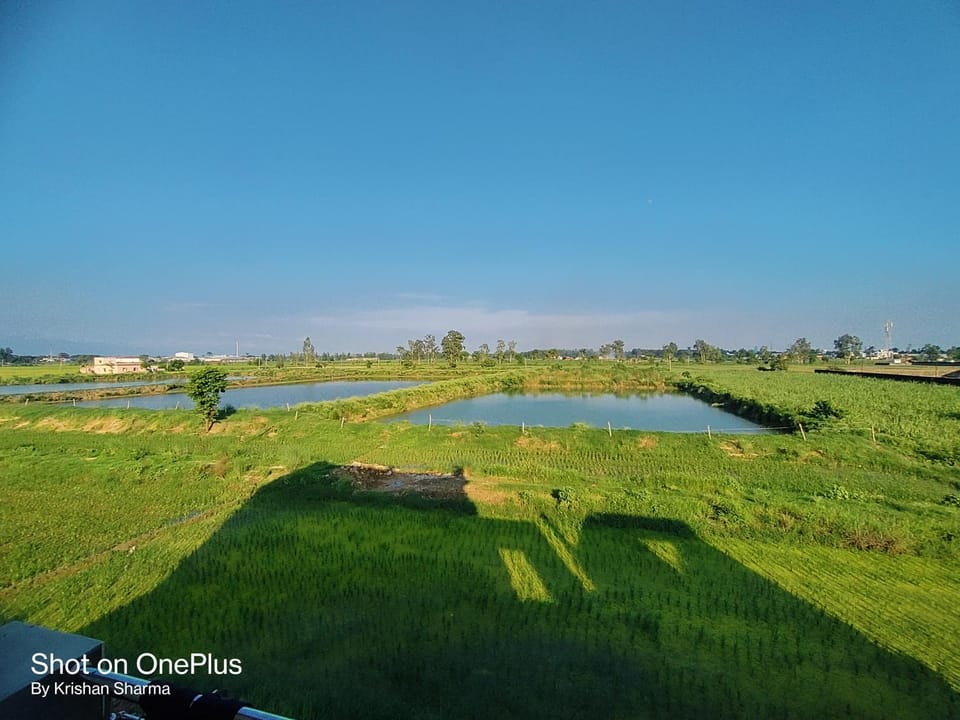 Lake view