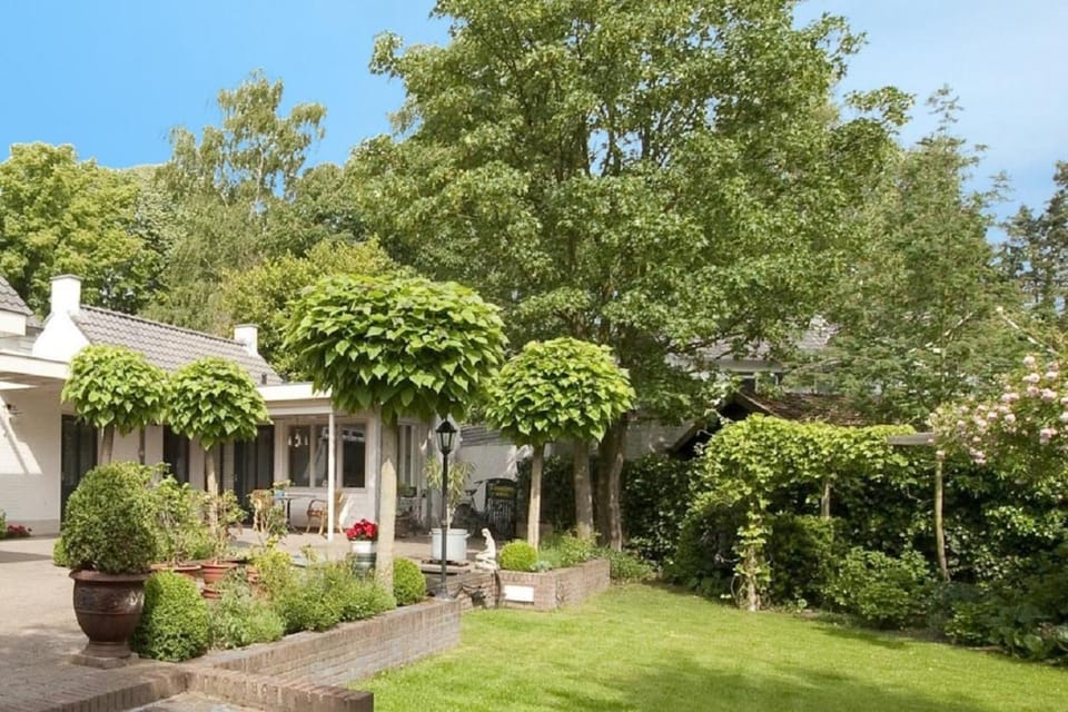 Garden, Balcony/Terrace