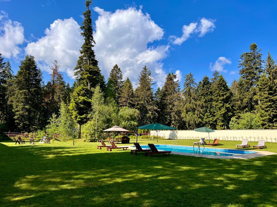 Garden, Garden view, Garden view