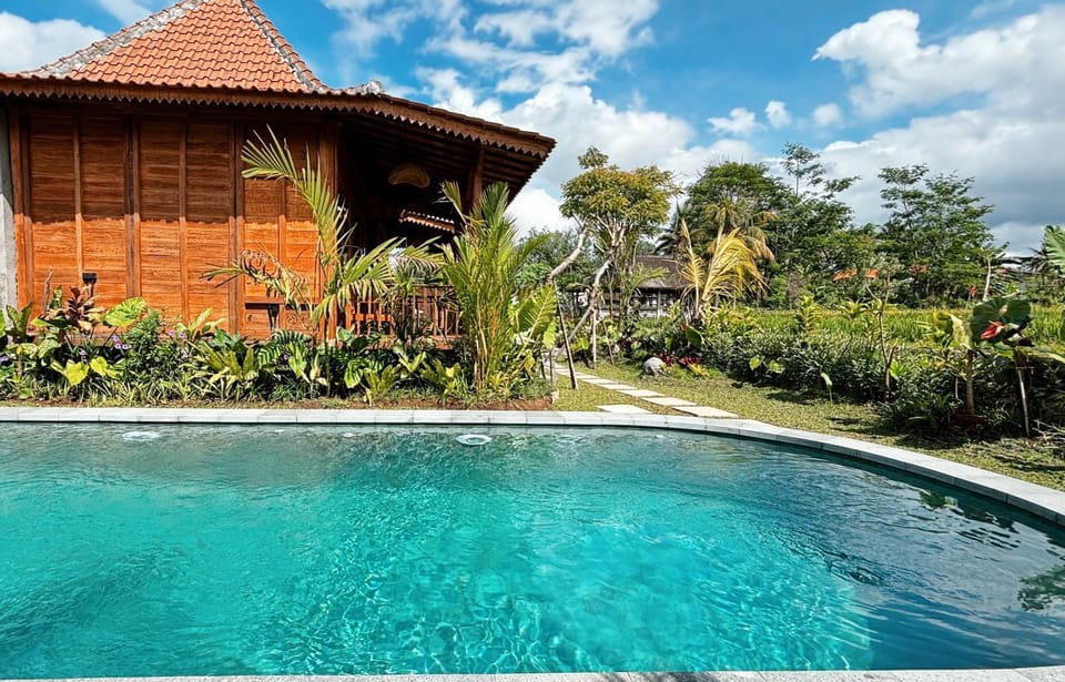 Property building, Spring, Day, Garden, Garden view, Pool view, Swimming pool