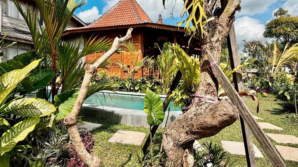 Property building, Spring, Day, Natural landscape, Garden, Garden view, Pool view, Swimming pool