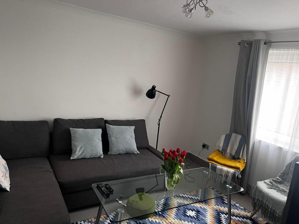 Plaistow comfort stay Vacation rental in London