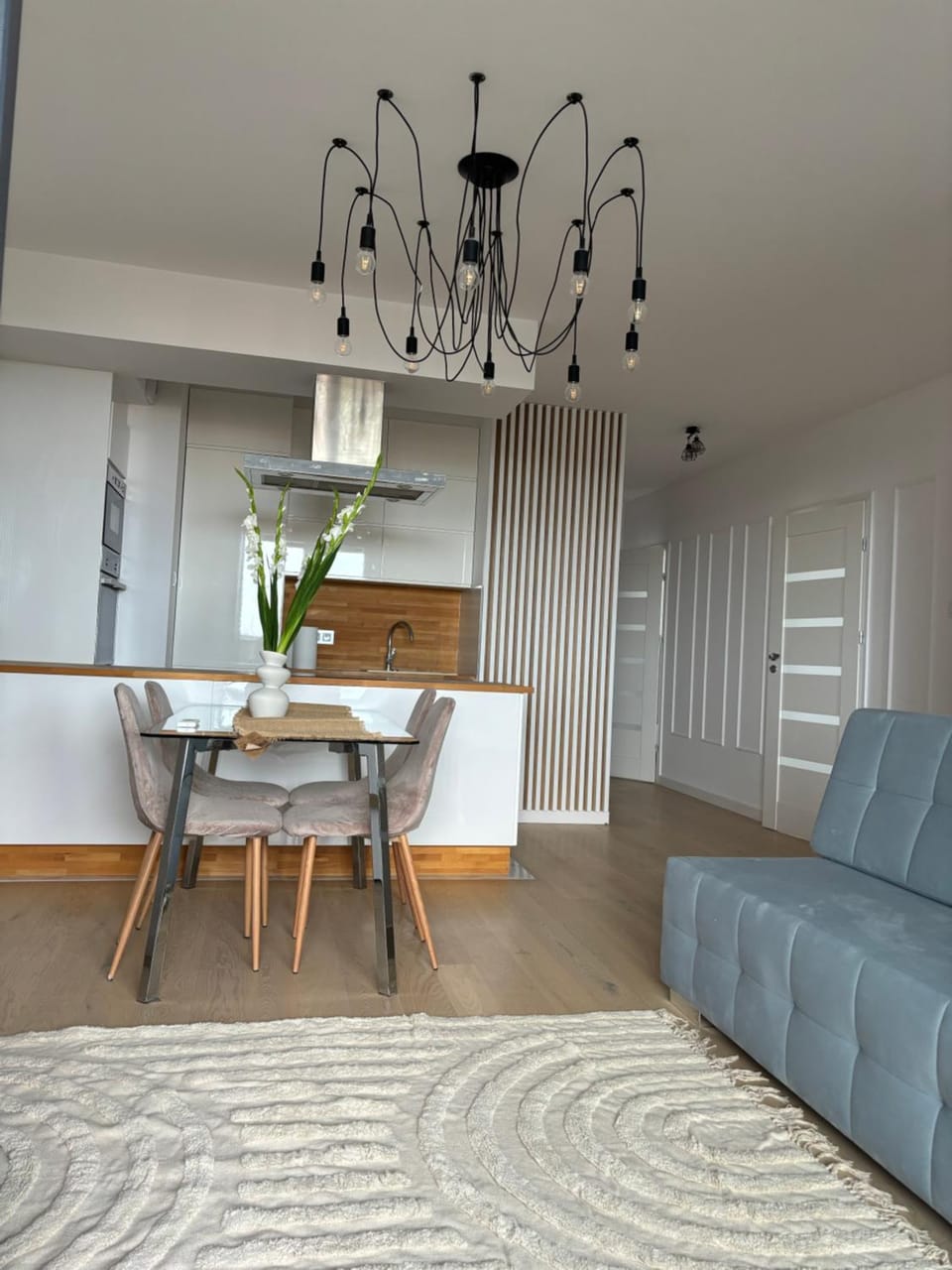 Business and Friendly Apartments Rzeszów self check in Apartment in Poland