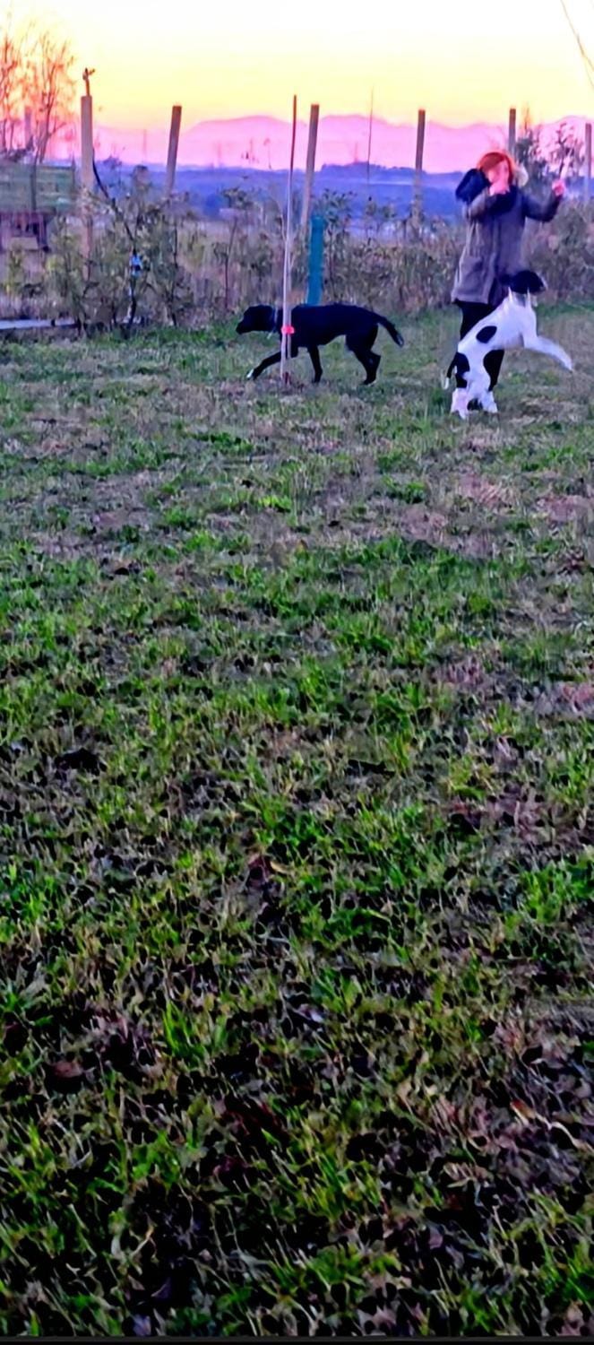 Agricampeggio AL CIELO STELLATO Campground/ 
RV Resort in Province of Brescia