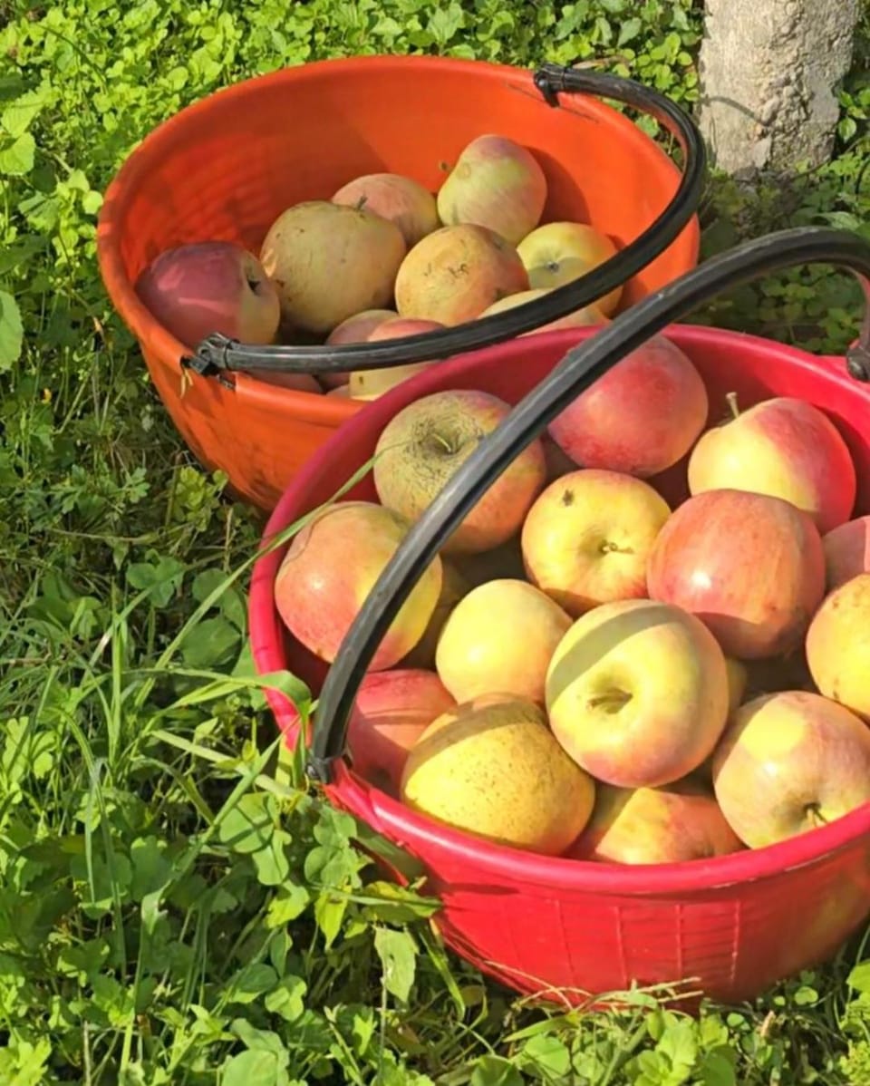 Agricampeggio AL CIELO STELLATO Campground/ 
RV Resort in Province of Brescia