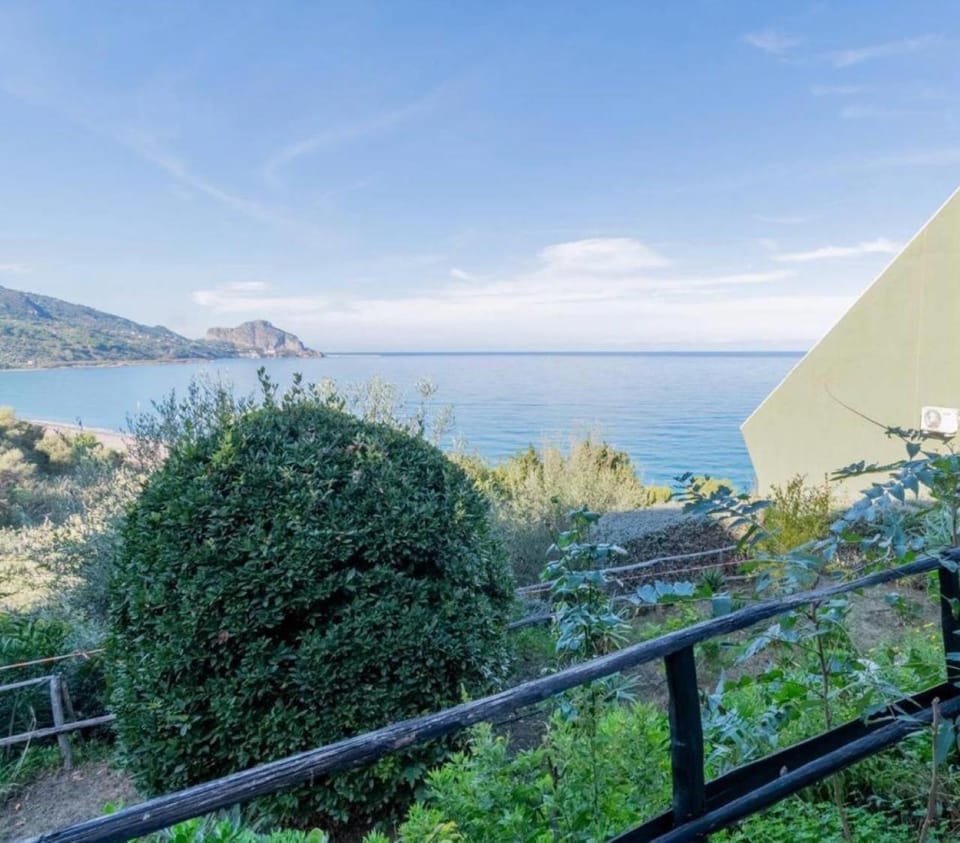 Garden, Sea view