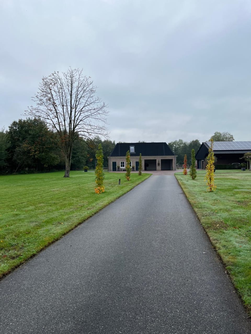 Garden, Garden view