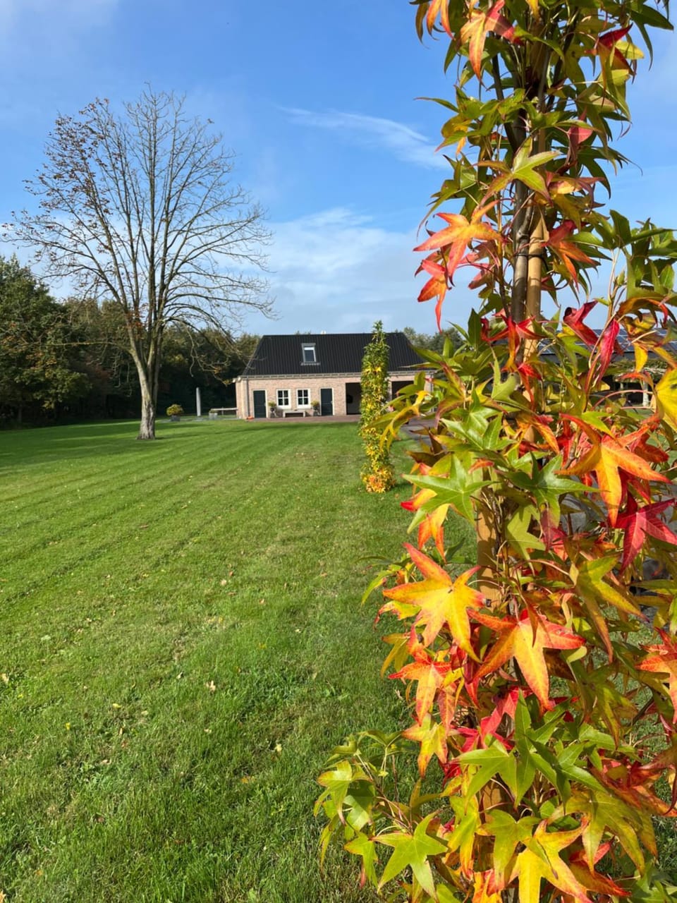 Property building, Natural landscape, Garden view