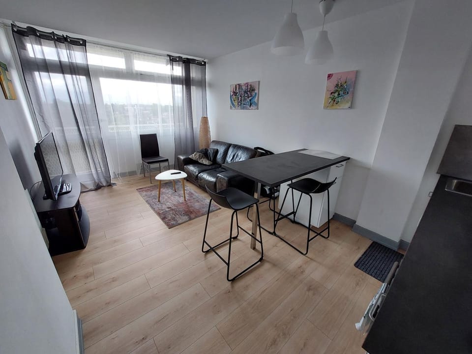 le Voltaire - WIFI & vue Pyrénées Apartment in Occitanie