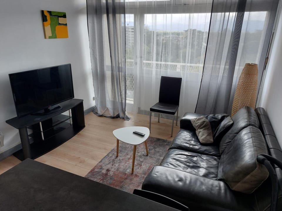 le Voltaire - WIFI & vue Pyrénées Apartment in Occitanie