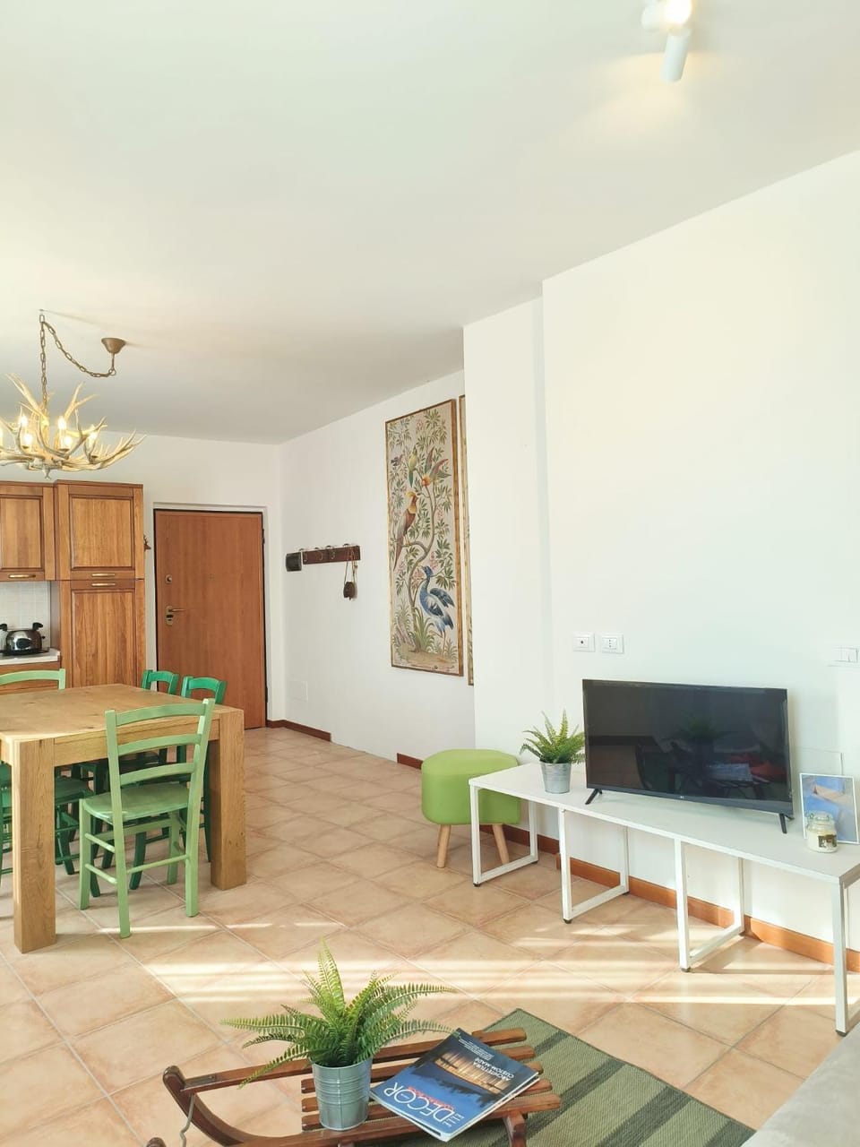 TV and multimedia