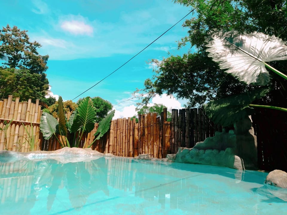 Pool view, Swimming pool
