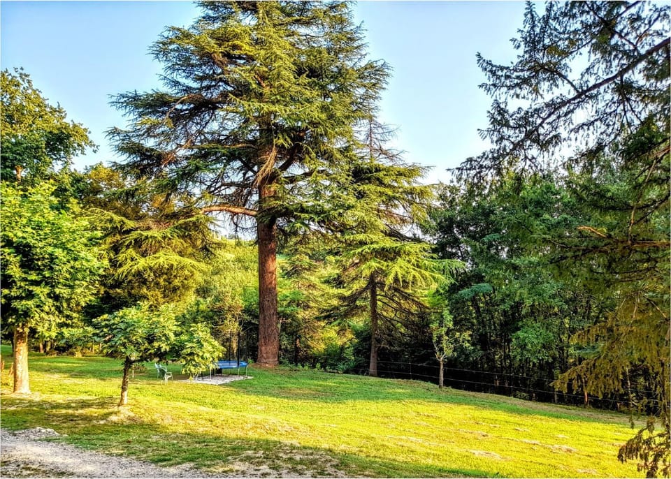 Garden, Garden