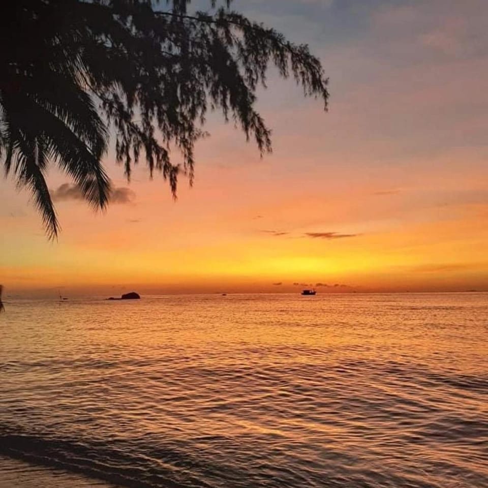 Natural landscape, Sunset
