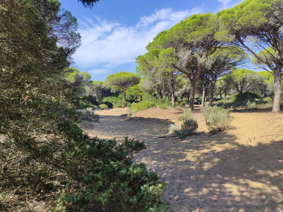 Natural landscape