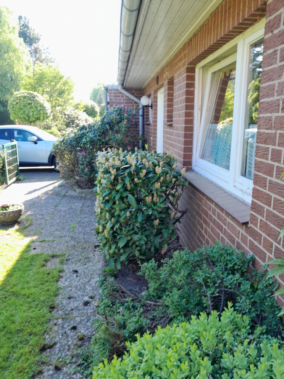 Garden, Garden view