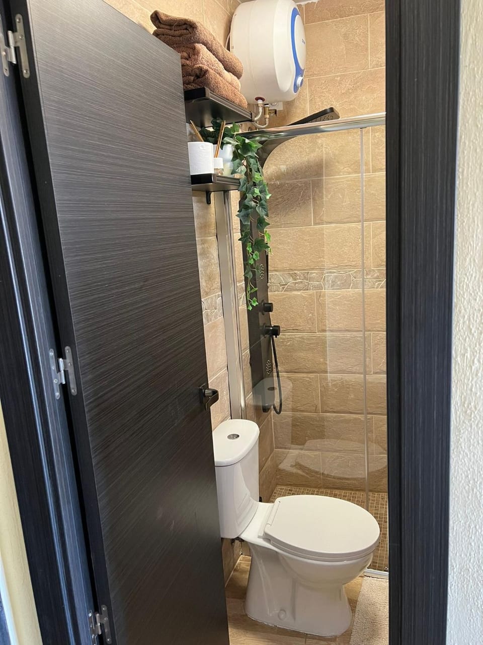 Shower, Toilet, Bathroom, bidet