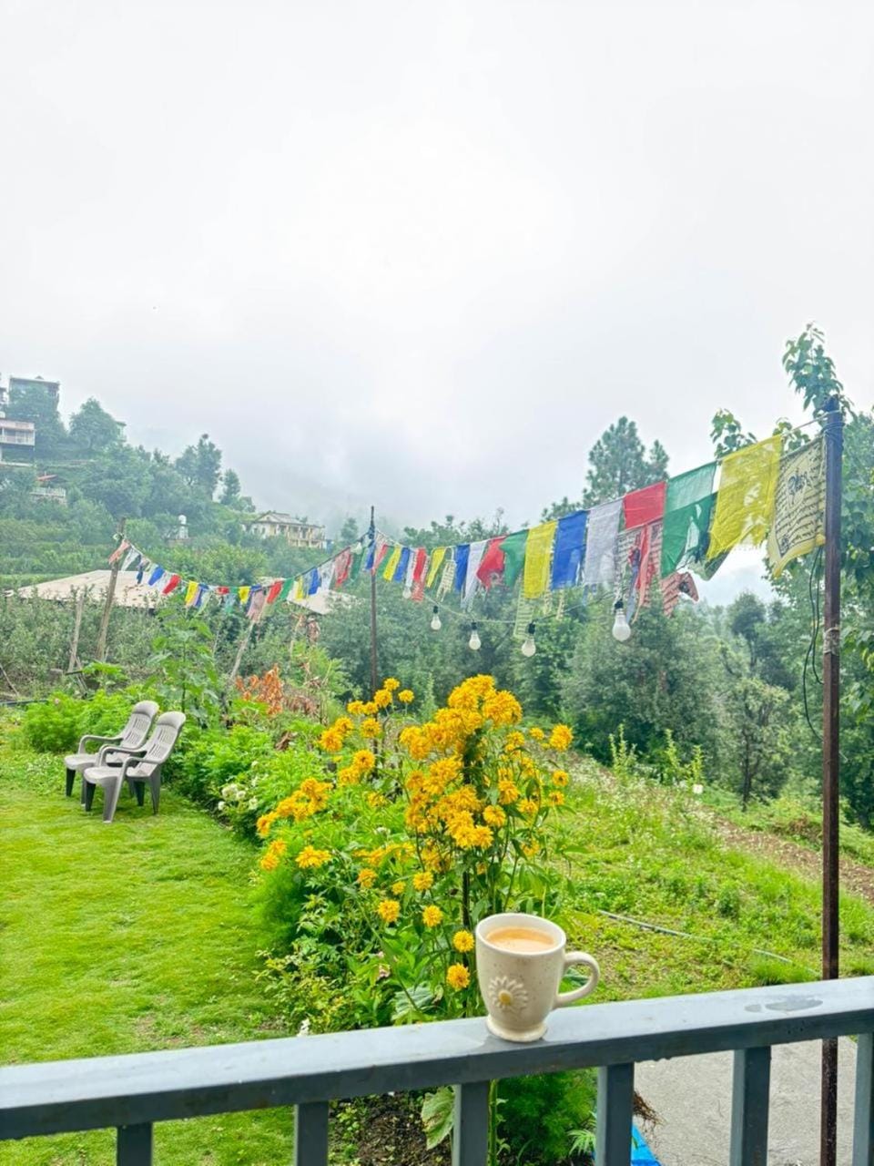 Garden view