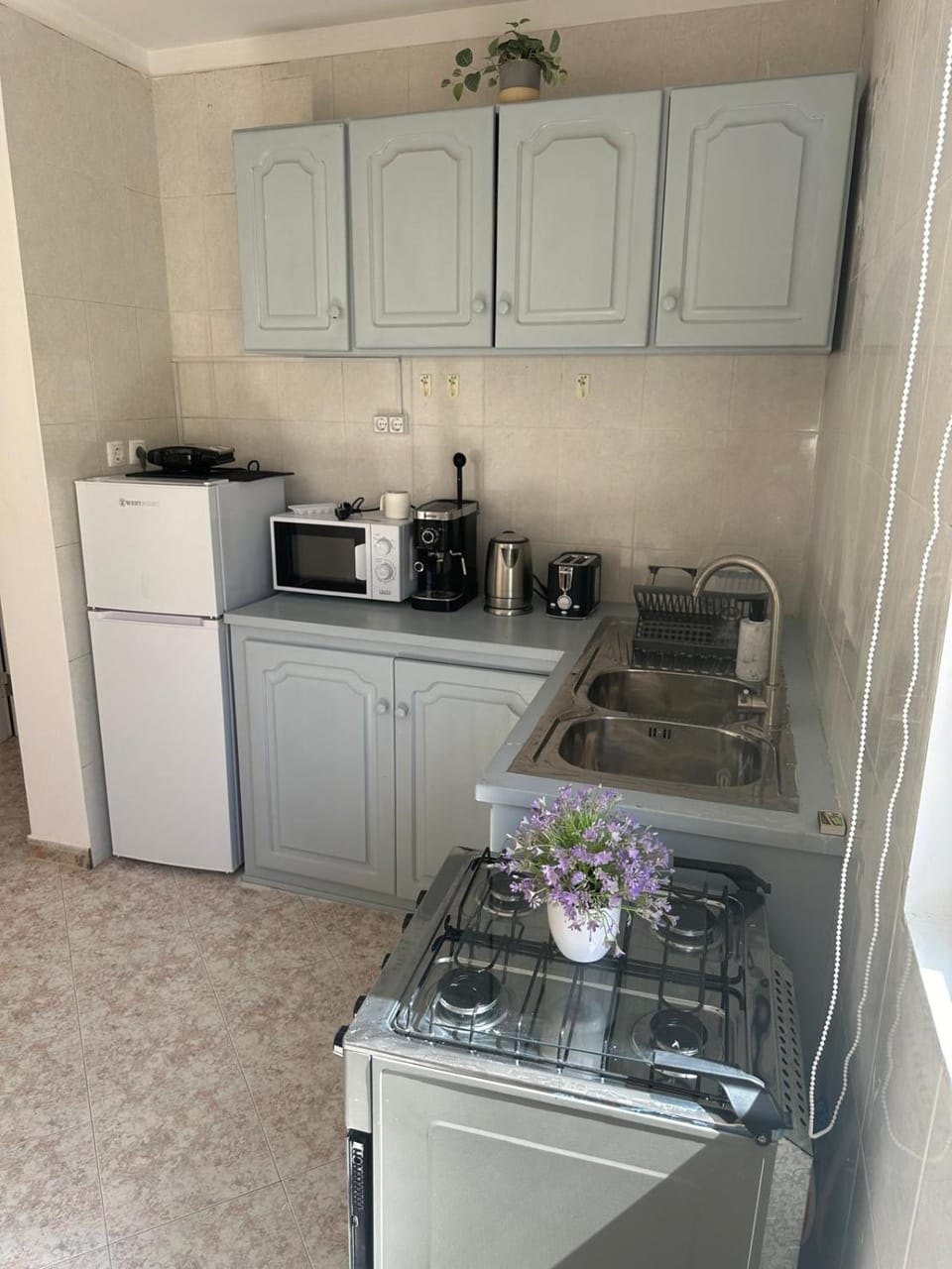 Coffee/tea facilities, Kitchen or kitchenette, minibar, oven, stove, toaster