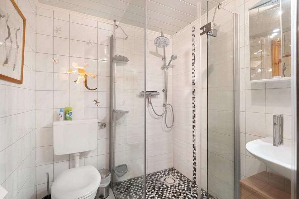 Bathroom, Living room