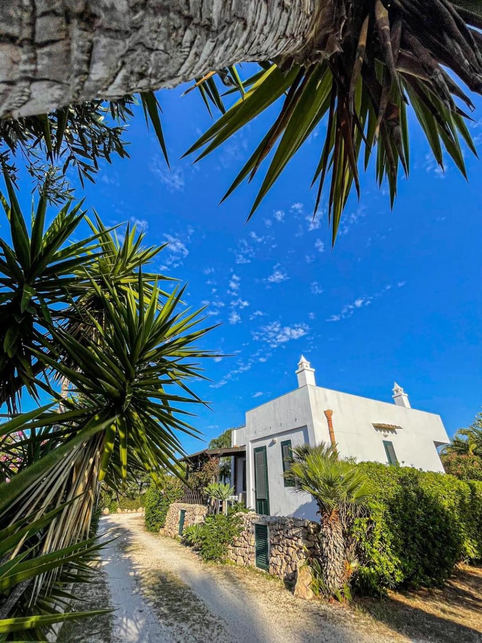 Property building, Garden, Garden view
