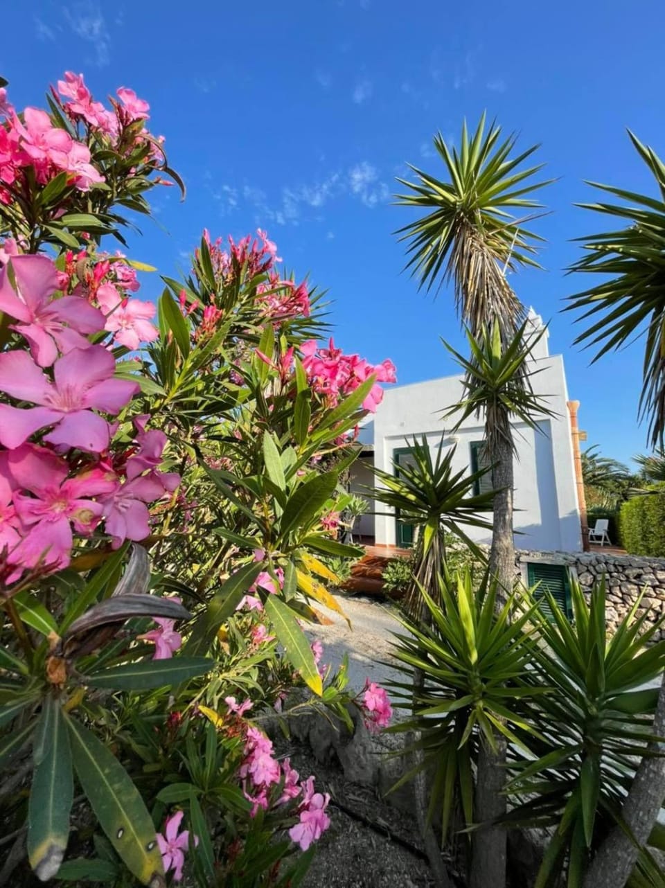 Property building, Garden, Garden view