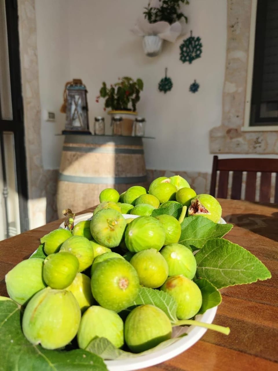 Villa Maria House Villa in Apulia